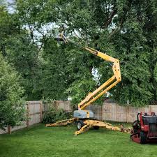 Best Hazardous Tree Removal  in East Moline, IL